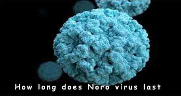 How long does Norovirus last